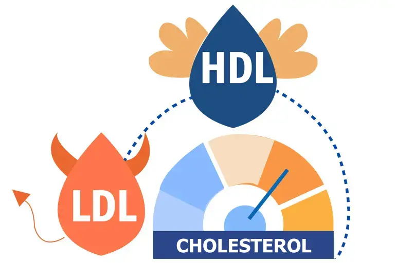 Wpływ cholesterolu na poziom testosteronu