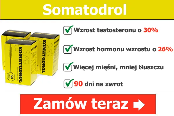 Somatodrol efekty